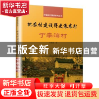 正版 把农村建设得更像农村:丁李湾村 宋微建 著,凤凰空间 出品