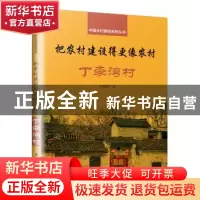 正版 把农村建设得更像农村:丁李湾村 宋微建 著,凤凰空间 出品