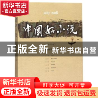 正版 2017-2018中国好小说:中篇卷 小说选刊选编 中国书籍出版社