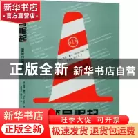 正版 符号崛起:读图时代的意义游戏 著者:西恩·霍尔,译者:皮