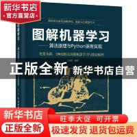 正版 图解机器学习--算法原理与Python语言实现 丁毓峰 中国水利