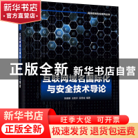 正版 互联网域名国际化与安全技术导论 编者:姚健康//王胜开//吴
