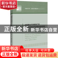 正版 全要素生产率视角下的农业技术进步及其溢出效应研究 董莹,