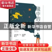 正版 镜中的宇宙:消失的粒子与幸存的世界 [日]村山齐 人民邮电出