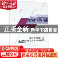 正版 经济虚拟化下的流动性陷阱与宏观经济政策 董永祥 经济科学