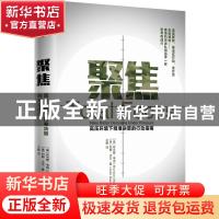 正版 聚焦:高压环境下精准决策的行动指南:make better decisions