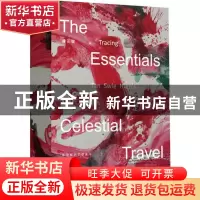 正版 天行心要:陈瑞献的艺踪见证:tracing Tan Swie Hian's artis