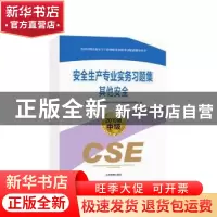 正版 安全生产专业实务习题集:2019版中级:其他安全 全国中级注册