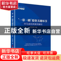 正版 “一带一路”投资关键环节——毕马威经典案例解析 毕马威中