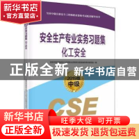 正版 安全生产专业实务习题集:2019版:化工安全 全国中级注册安全