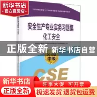正版 安全生产专业实务习题集:2019版:化工安全 全国中级注册安全