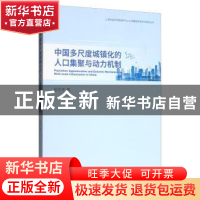 正版 中国多尺度城镇化的人口集聚与动力机制 杨传开 经济科学出