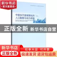 正版 中国多尺度城镇化的人口集聚与动力机制 杨传开 经济科学出