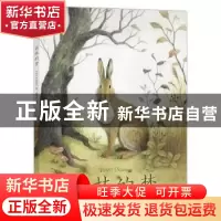 正版 森林的梦::: (日)今井彩乃 新星出版社 9787513347631 书