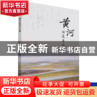 正版 黄河演变与治理 彭瑞善 中国水利水电出版社 9787522603285