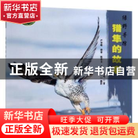 正版 猎隼的故事 马鸣|摄影:严学峰 邢睿 陈学义 王尧... 编