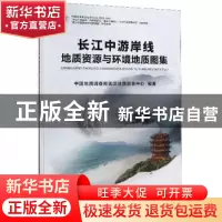 正版 长江中游岸线地质资源与环境地质图集 中国地质调查局武汉地