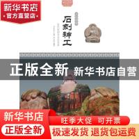 正版 冰封人与消失的怪塔 陆杨著 太白文艺出版社 9787551309325