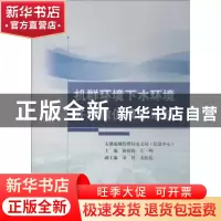 正版 机群环境下水环境并行数值模拟系统 太湖流域管理局水文局(