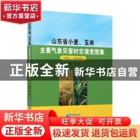 正版 山东省小麦、玉米主要气象灾害时空演变图集(1981—2050年