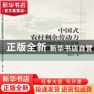 正版 中国式农村剩余劳动力回流型转移的理论与实践——基于对农