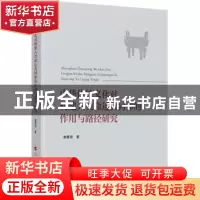 正版 中华传统文化对构建人类命运共同体的作用与路径研究 谢霄