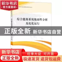 正版 综合能源系统脆弱性分析及优化运行 潘华 上海财经大学出版