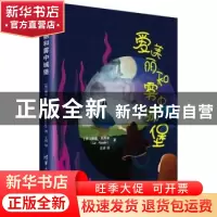 正版 爱美丽和雾中城堡 丽兹·凯斯勒 清华大学出版社 97873025226