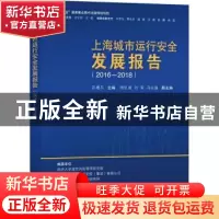 正版 上海城市运行安全发展报告(2016-2018) 孙建平主编 同济大