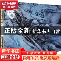 正版 悟:张世旗摄影集 张世旗著 中国画报出版社 9787514617566