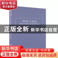 正版 困境与突围:新时代佛山的多维审思 林瑞青,杜环欢,吴新奇