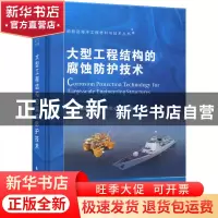 正版 大型工程结构的腐蚀防护技术 孙明先 国防工业出版社 978711
