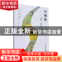 正版 小城镇:城乡一体化的大战略 徐志文著 合肥工业大学出版社 9