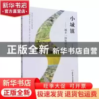 正版 小城镇:城乡一体化的大战略 徐志文著 合肥工业大学出版社 9