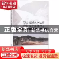 正版 特大流域水电站群优化调度降维理论 冯仲恺,牛文静 科学出版