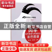正版 肉羊饲养管理与疾病防治彩色图谱 成大荣,张怀林主编 中国