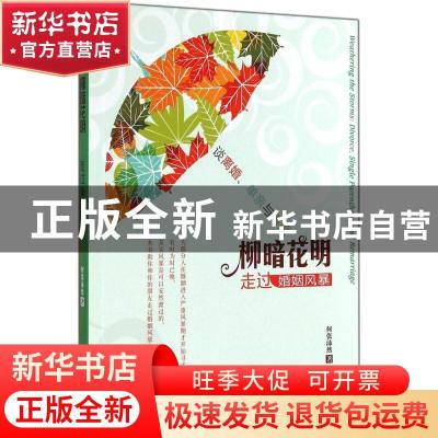 正版 柳暗花明:走过婚姻风暴:divorce,single parenthood and rem