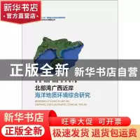 正版 北部湾广西近岸海洋地质环境综合研究 夏真等著 海洋出版社