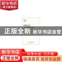 正版 能源环境一般均衡分析 鲁传一著 经济科学出版社 9787514198