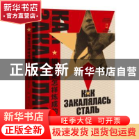 正版 钢铁是怎样炼成的 (苏联)尼·奥斯特洛夫斯基 著 周露 译