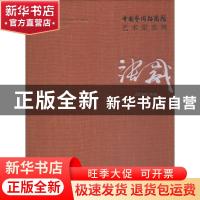 正版 中国艺术研究院艺术家系列:张崴 连辑主编 文化艺术出版社