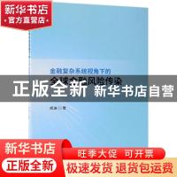 正版 金融复杂系统视角下的全球金融风险传染 胡迪著 经济科学出
