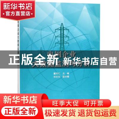 正版 电网企业大数据监测与分析 董天仁主编 海洋出版社 97875210