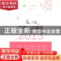 正版 文心短篇小说精选:2013 施雨主编 九州出版社 978751082585