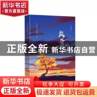 正版 风舞胡杨(纪念版) 风吹海棠阵阵香著 河北教育出版社 978755