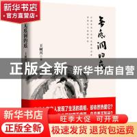 正版 无底洞的底 王树兴著 江苏凤凰文艺出版社 9787559411143 书