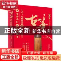 正版 古筝入门视频精讲28课 : 从业余小白到演奏高手 编者:兰恕冰