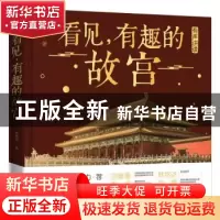 正版 看见,有趣的故宫 苏唐诗 电子工业出版社 9787121399879 书