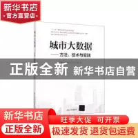 正版 城市大数据——方法、技术与实践 过敏意 须成忠 於志文 伍