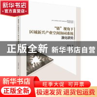 正版 “链”视角下区域新兴产业空间协同系统演化研究 李进兵 科